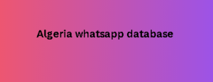 Algeria whatsapp database