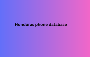 Honduras phone database