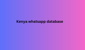 Kenya whatsapp database