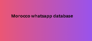 Morocco whatsapp database