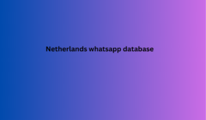 Netherlands whatsapp database