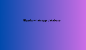 Nigeria whatsapp database