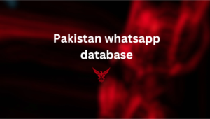 Pakistan whatsapp database