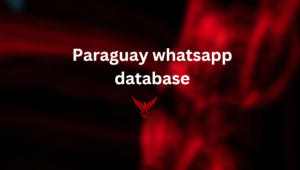 Paraguay whatsapp database